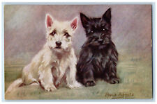 Postcard Scotch Terrier Puppies Susan and Sambo c1910 Antique Oilette Tuck Dogs picture