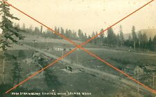 No. 20 Strawberry Ranches White Salmon WA Klickitat County approx 1913 picture