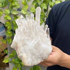 3.2LB Large Natural White Clear Quartz Crystal Cluster Raw Healing Specimen picture