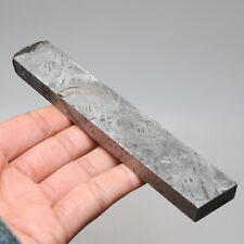 202g  Muonionalusta meteorite part slice C7320 picture
