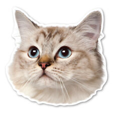 Ragdoll Cat Magnet picture