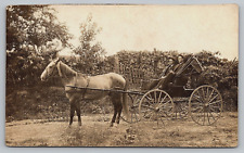Original RPPC, Horse And Buggy, Two Men In Suits, Antique, Vintage Postcard picture
