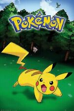 Pokemon ~ Pikachu Catch ~ 24x36 POSTER/NEW ROLLED picture