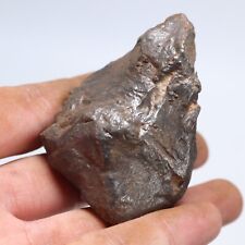 191g Gebel Kamil Iron Meteorite Space Gift A1535 picture