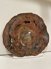 Petrified Wood Slab Polished Northern Arizona Beautiful Rare Fossil Piece Of Art picture