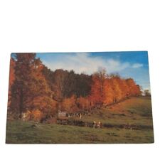 Postcard A Vermont Sidehill Farm In Autumn North Central Vermont Chrome Unposted picture
