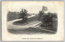 Pittsburg, Pennsylvania - Serpentine Drive, Schenley Park - Vintage Postcards picture
