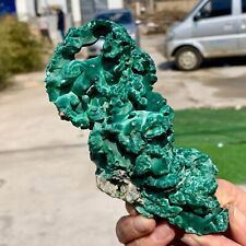 448G Natural glossy Malachite cat eyetransparent cluster rough mineral sample picture