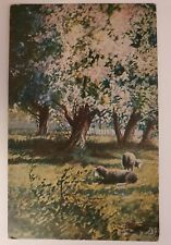 Sheep Beneath Trees Vintage Postcard Lithograph Early 20th Century P1367 picture