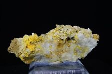 Mimetite & Wulfenite / Rare Mineral Specimen / Deer Trail Mine, Utah picture