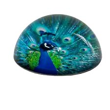 Peacock Art Glass Paperweight Vintage Desk Top Colorful Office Round Dome Bird picture