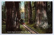 Postcard Sequoiria Canyon On Branch Mt. Tamalpais Railway California (Sequoia) picture