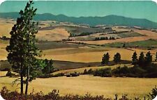 VTG Postcard- 63843-. The Plaid Palouse, an extremely impressive . Unused 1960 picture