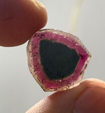 16 CT  Tri  Color TOURMALINE POLISHED SLICES FROM  AFGHANISTAN picture