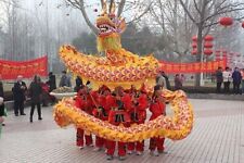 18m 10Adults Yellow DRAGON DANCE ORIGINAL Dragon Chinese Folk Costume Props picture