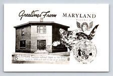 RPPC Collage Greetings State Seal Cat Mount Clare Station Baltimore MD Postcard picture