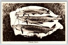 Glennie Michigan~Northern Pike Fish~Stringer~1950s RPPC picture
