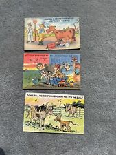 3 1950's 1960's cow comic postcards picture