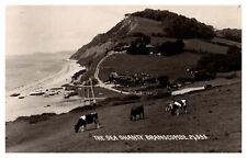 postcard The Sea shanty Branscombe RPPC 3246 picture