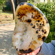 1.95LB Beautiful natural agate tree-snow crystal polished specimens-Museum level picture