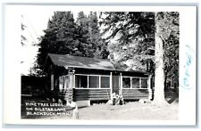 c1950's Pine Tree Lodge Gilstad Lake Blackduck Minnesota MN RPPC Photo Postcard picture