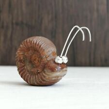 Zuni Handmade Chassie Panteah Ammonite Fossil Snail Fetish Unique Adorable picture