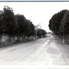 c1940s Oregon Coast Highway RPPC Myrtle Trees Road Trail Real Photo PC OR A164 picture