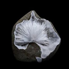 Scolecite Spray Geode With MM Quartz Natural Mineral Specimen # B 6896 picture
