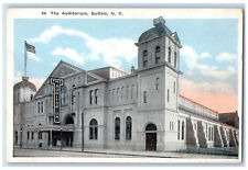 1924 View of The Auditorium Buffalo New York NY Vintage Unposted Postcard picture