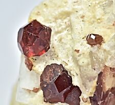 63 Carat Top Quality Terminated Garnet Crystal Specimen picture