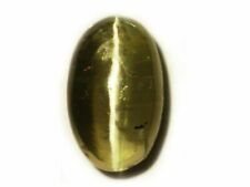 NATURAL RARE DIOPSIDE CATS EYE 1.34 Cts - 15501 SRI LANKA LOOSE GEMSTONE picture
