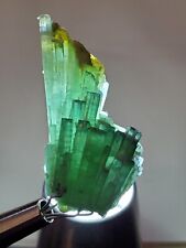 Mesmerizing TOURMALINE Cluster Spray Green With Blue Tips 35.4 Cts picture