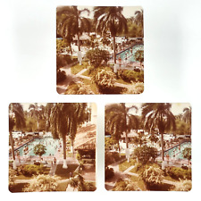Resort Swimming Pool Photo Set 1980s Palm Trees & Diving Board Snapshots B3339 picture