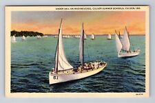 Culver IN-Indiana, Under Sail on Maxinkuckee, Yachting Vintage Postcard picture