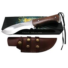 Old Ram Collection Durable Fixed Blade Heavy Duty Wood Handle Hunting Knife  picture