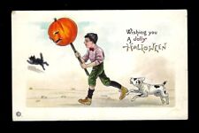 c1911 Stecher Halloween Postcard Boy Carrying Pumpkin on a Stick, Dog, Cat picture