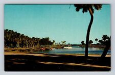 Sarasota FL-Florida, Myakka River State Park, Palms, Boats, Vintage Postcard picture