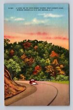 Greenville SC-South Carolina, Curve On The Geer Scenic Highway Vintage Postcard picture