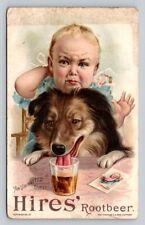 Hires Root Beer Baby Collie Dog Drinking From Glass P135 picture