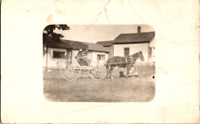 Antique RPPC three men in horse drawn buckboard chickens postcard a45 picture
