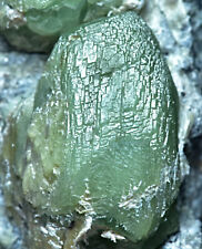 23 Gram Unique Etched Demantoid Garnet Crystal Specimen picture