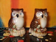Owl Handpainted Christmas Holly Berry Porcelain Salt & Pepper Shaker Set picture