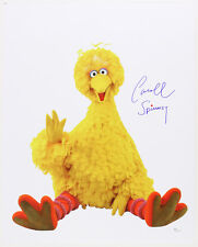 1969-2016 Caroll Spinney “Big Bird” Sesame St LE Signed 16x20 Color Photo (JSA) picture