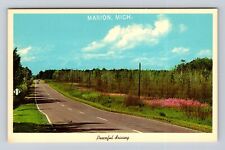 Marion MI-Michigan, Peaceful Driving, Antique, Vintage Souvenir Postcard picture