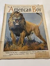 1932 September AMERICAN BOY MAGAZINE - STORIES, ILLUSTRATIONS- Lion picture