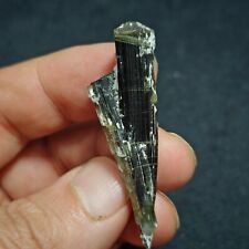 Green Cap twin Tourmaline Crystal 9.5 grams picture