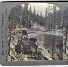 1900s Three Yellowstone Park Keystone Stereoview Cards Blk&Wht Great Photography picture