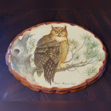 VTG Great Horned Owl Wall Plaque on Wood Glossy Lacquered Coat 12.5