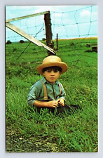 Young Amish Boy on Farm Pasture Pennsylvania PA Chrome Postcard picture