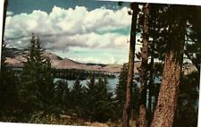 Vintage Postcard- Flathead Lake, Northern Montana Early 1900s picture